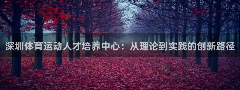 乐球体育：深圳体育运动人才培养中心：从理论到实践的创新路径
