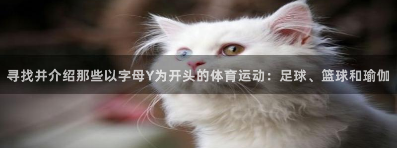 乐球体育苹果手机怎么下载：寻找并介绍那些以字母Y为开头的体育运动：足球、篮球和瑜伽
