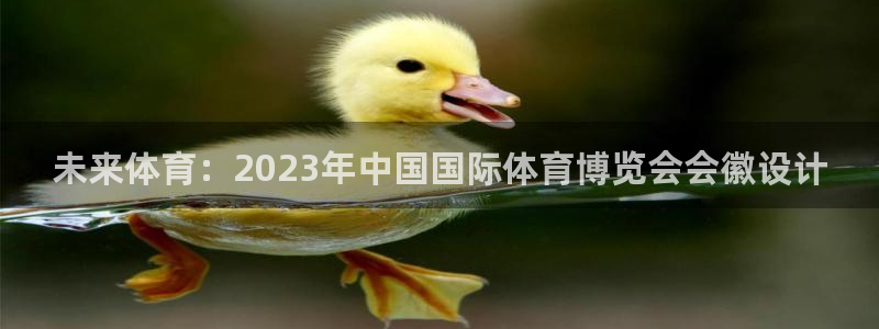 乐球体育NBA：未来体育：2023年中国国际体育博览会会徽设计