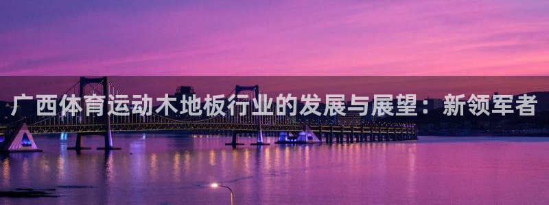 乐球体育录像回放：广西体育运动木地板行业的发展与展望：新领军者